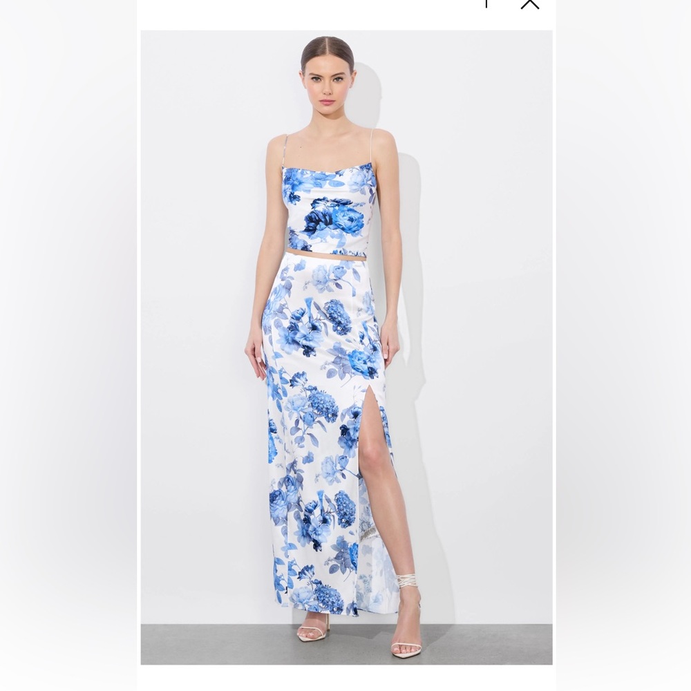Blue Floral Two-Piece Maxi Dress Alice + Olivia